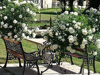 Hotel La Chaum'Yerres Chaumes-en-Brie 外观 照片